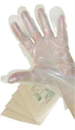 GUANTO IN POLIETILENE NON STERILE MISURA MEDIA. AMBIDESTRI, OMOGENEI, TRASPARENTI E PRIVI DI POLVERE LUBRIFICANTE. INDICATI PER USO OSTETRICO, GINECOLOGICO E UROLOGICO - Doctor Vinz