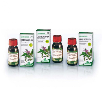 GEMMOSOL 46 TIGLIO ARGEN 50ML - Doctor Vinz