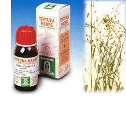 BORSA PASTORE 4 50ML TM - Doctor Vinz