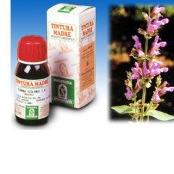 SALVIA 25 50ML TM - Doctor Vinz