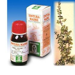 UVA URSINA 30 50ML TM - Doctor Vinz
