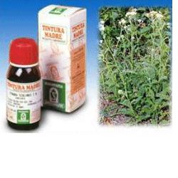 ACHILLEA 51 50ML TM - Doctor Vinz