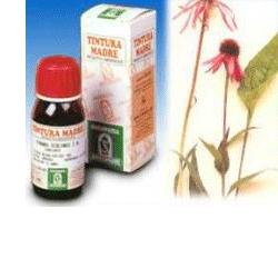 ECHINACEA 59 50ML TM - Doctor Vinz