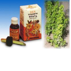 MENTA OLIO ESSENZIALE PURO 10 ML - Doctor Vinz