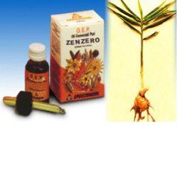 ZENZERO OLIO ESSENZIALE PURO 10 ML - Doctor Vinz