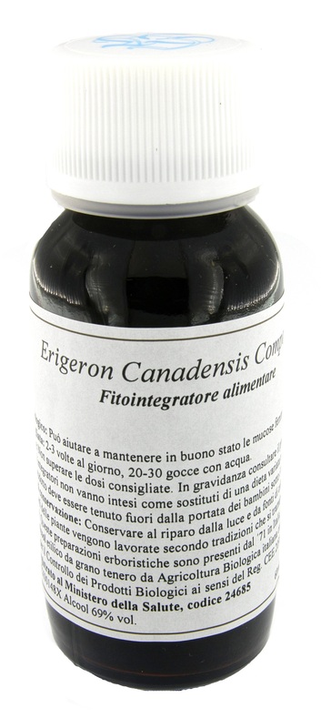 LVS 85C ERIGERON CANADENSIS COMPOSITUM - Doctor Vinz