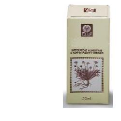 GINKGO BILOBA ESTRATTO ANALCOLICO 50 ML - Doctor Vinz