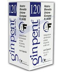 GINPENT 120 CAPSULE 400 MG - Doctor Vinz