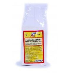 FARINA DI GRANO TENERO MANITOBA BIO 1000 G - Doctor Vinz
