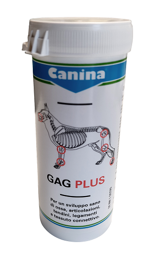 GAG PLUS 200 G 120 TAVOLETTE - Doctor Vinz