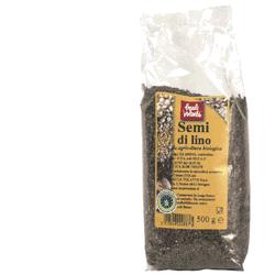 SEMI DI LINO 500 G - Doctor Vinz