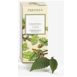 FRAXINUS EXCELS GEMME GEMMODERIVATO - Doctor Vinz