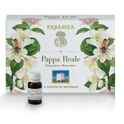 PAPPA REALE 14 FLACONCINI MONODOSE 10 ML - Doctor Vinz