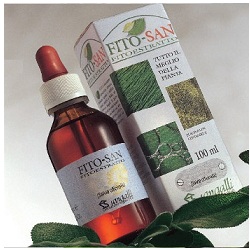 RIBES NERO TINTURA MADRE 100 ML - Doctor Vinz