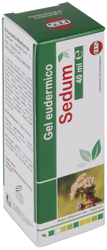 SEDUM GEL EUDERMICO 40 ML - Doctor Vinz