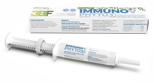 IMMUNOV PASTA SIRINGA 30 G - Doctor Vinz