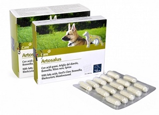 ARTOSALUS COMPRESSE 30 COMPRESSE - Doctor Vinz