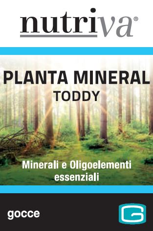 NUTRIVA PLANTA MINERAL TODDY 50 ML - Doctor Vinz