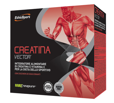 ETHICSPORT CREATINA VECTOR 20 BUSTINE 8 G - Doctor Vinz