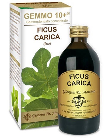 GEMMO 10+ FICO LIQUIDO ANALCOLICO 200 ML - Doctor Vinz