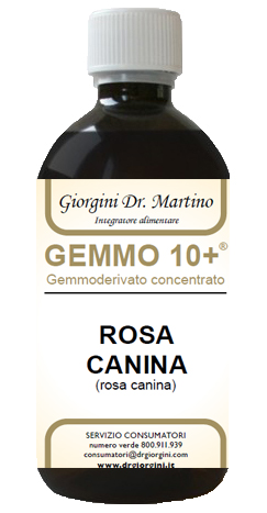 GEMMO 10+ ROSA CANINA LIQUIDO ANALCOLICO 500 ML - Doctor Vinz
