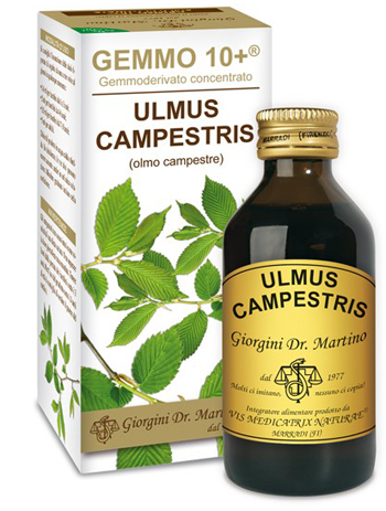 GEMMO 10+ OLMO CAMPESTRE 100 ML LIQUIDO ANALCOLICO - Doctor Vinz