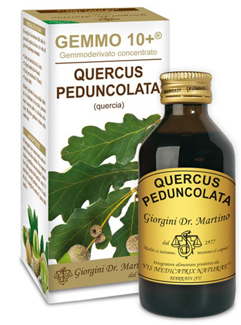 GEMMO 10+ QUERCIA 100 ML LIQUIDO ANALCOLICO - Doctor Vinz
