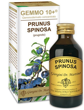 GEMMO 10+ PRUGNOLO 100 ML LIQUIDO ANALCOLICO - Doctor Vinz