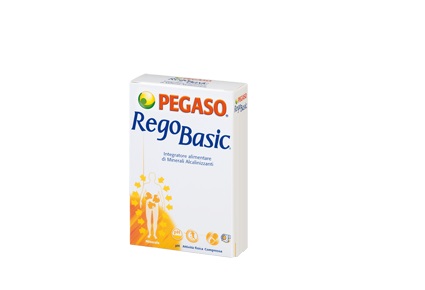 REGOBASIC 12 BUSTINE POLVERE - Doctor Vinz