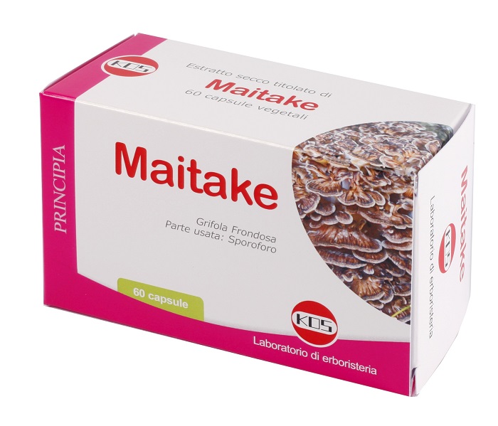 MAITAKE ESTRATTO SECCO 60 CAPSULE - Doctor Vinz