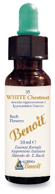 FIORI DI BACH BENOIT WHITE CHESTNUT 10 ML - Doctor Vinz