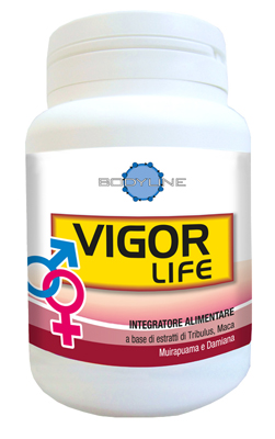 VIGOR LIFE 40 CAPSULE - Doctor Vinz