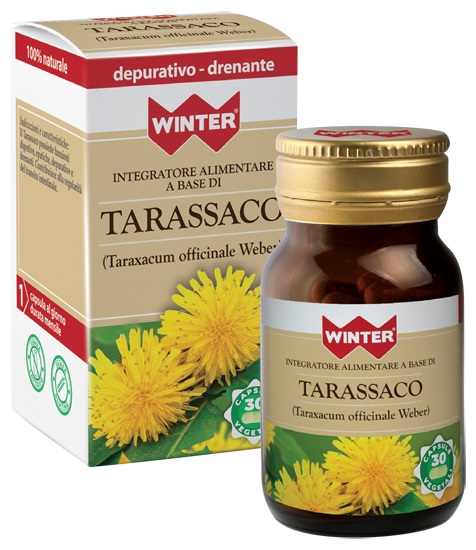 WINTER TARASSACO 30 CAPSULE VEGETALI - Doctor Vinz