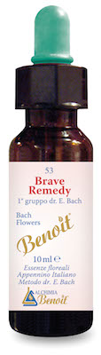BRAVE REMEDY 10 ML - Doctor Vinz