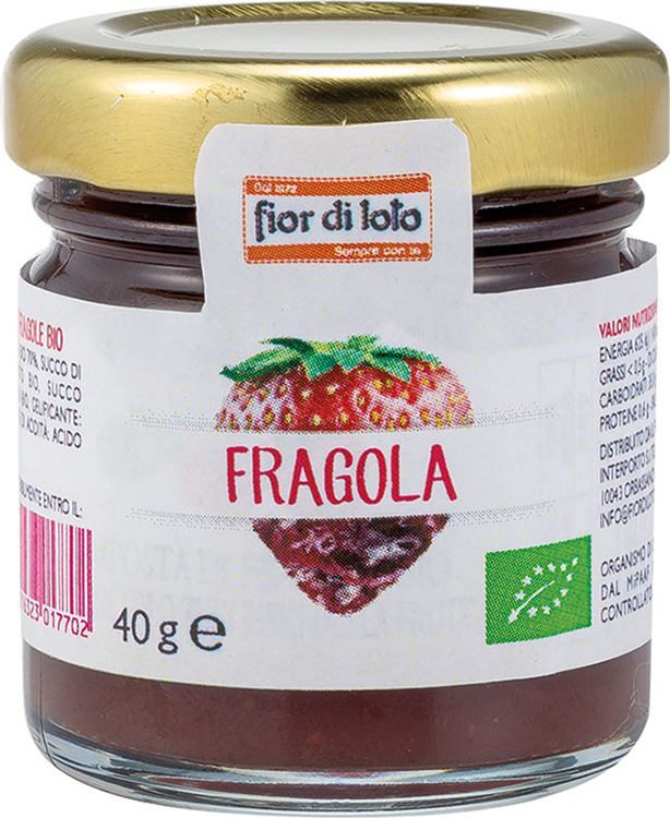 MINICOMPOSTA ALLA FRAGOLA 40 G - Doctor Vinz