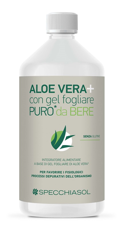 SUCCO ALOEVERA+ 1000 ML - Doctor Vinz