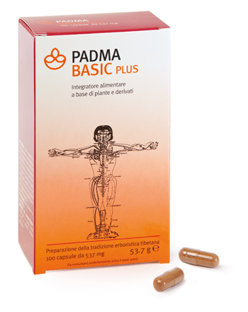 PADMA BASIC PLUS 100 CAPSULE - Doctor Vinz