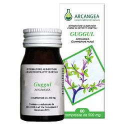 GUGGUL 60 CAPSULE - Doctor Vinz