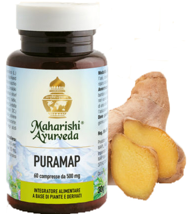 PURAMAP 60 COMPRESSE - Doctor Vinz