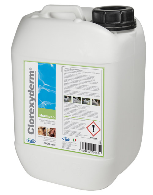 CLOREXYDERM SHAMPOO 5 LITRI - Doctor Vinz