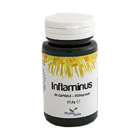 INFLAMINUS 60 CAPSULE - Doctor Vinz