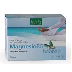MAGNESIO B6 + BAOBAB 60 CAPSULE - Doctor Vinz
