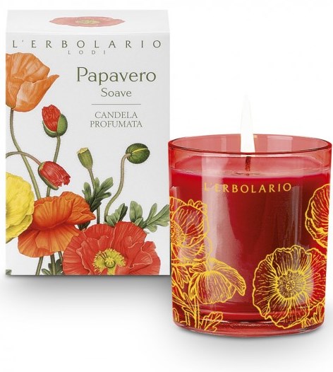 PAPAVERO SOAVE CANDELA - Doctor Vinz