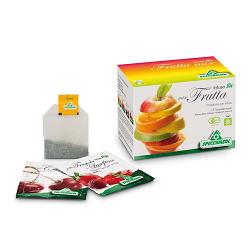 INFUSI BIO MIX FRUTTA - Doctor Vinz