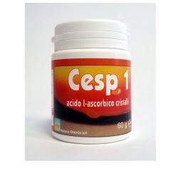 CESP 1 POLVERE 60 G CON MISURINO - Doctor Vinz
