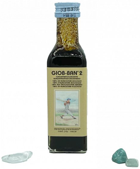 GIOB BAN 2 ART ESTRATTO CONCENTRATO BIOLOGICO 100 ML - Doctor Vinz
