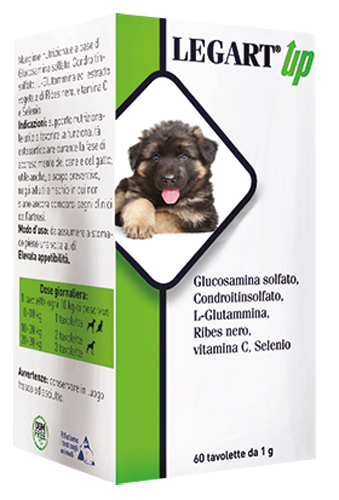 LEGART UP 60 COMPRESSE DA 1 G - Doctor Vinz