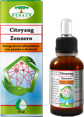 CITOYANG ZENZERO GOCCE FLACONCINO 50 ML - Doctor Vinz
