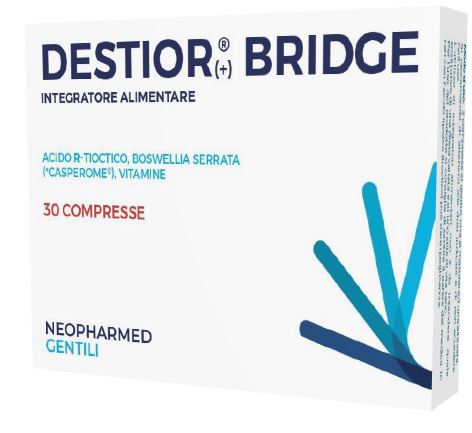 DESTIOR BRIDGE 30 COMPRESSE - Doctor Vinz