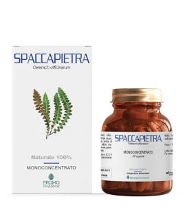 SPACCAPIETRA 50 CAPSULE - Doctor Vinz